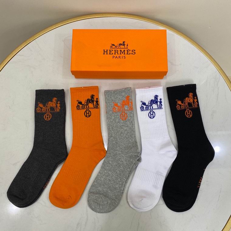 Hermes Sock 011011